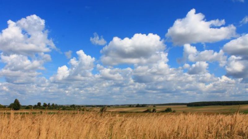 Чому всі говорять фразу “все ясно”: як правильно сказати українською