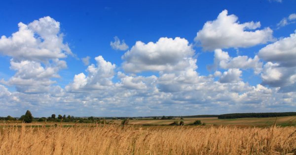 Чому всі говорять фразу “все ясно”: як правильно сказати українською