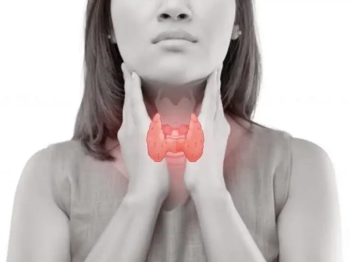 Головний ворог щитоподібної залози у жінок — не цукор і не булочки. А одна звичка, яку всі недооцінюють