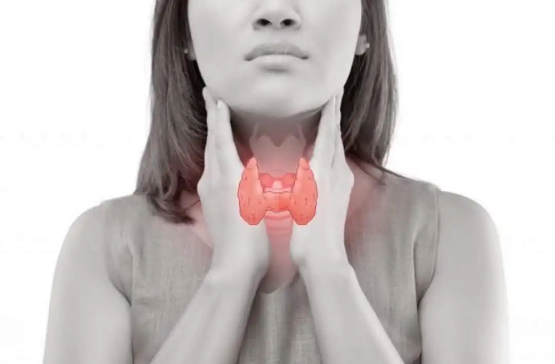 Головний ворог щитоподібної залози у жінок — не цукор і не булочки. А одна звичка, яку всі недооцінюють
