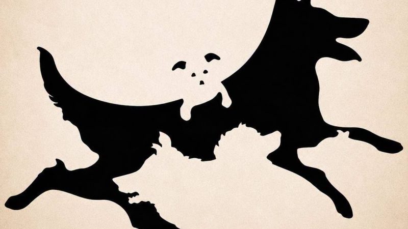 Скільки собак ви бачите? Тест, який нібито визначає ваш ментальний вік