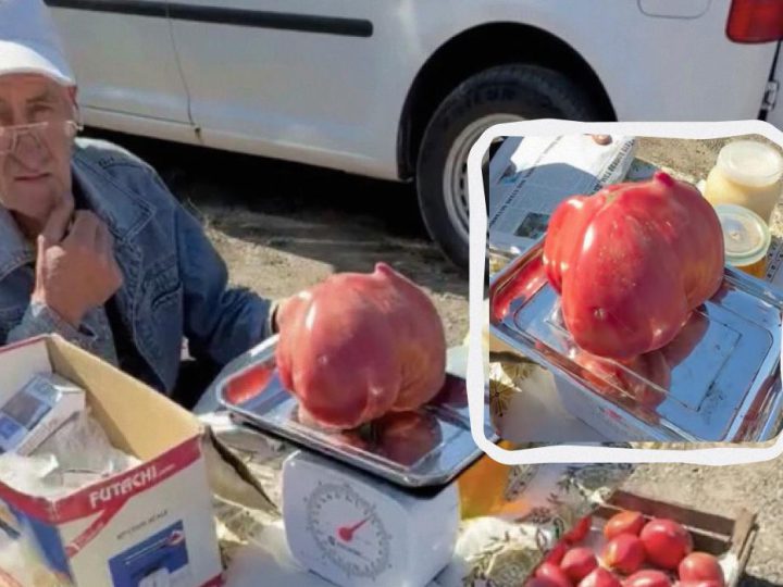 Українець виростив помідор-велетень і ошелешив його ціною (відео)