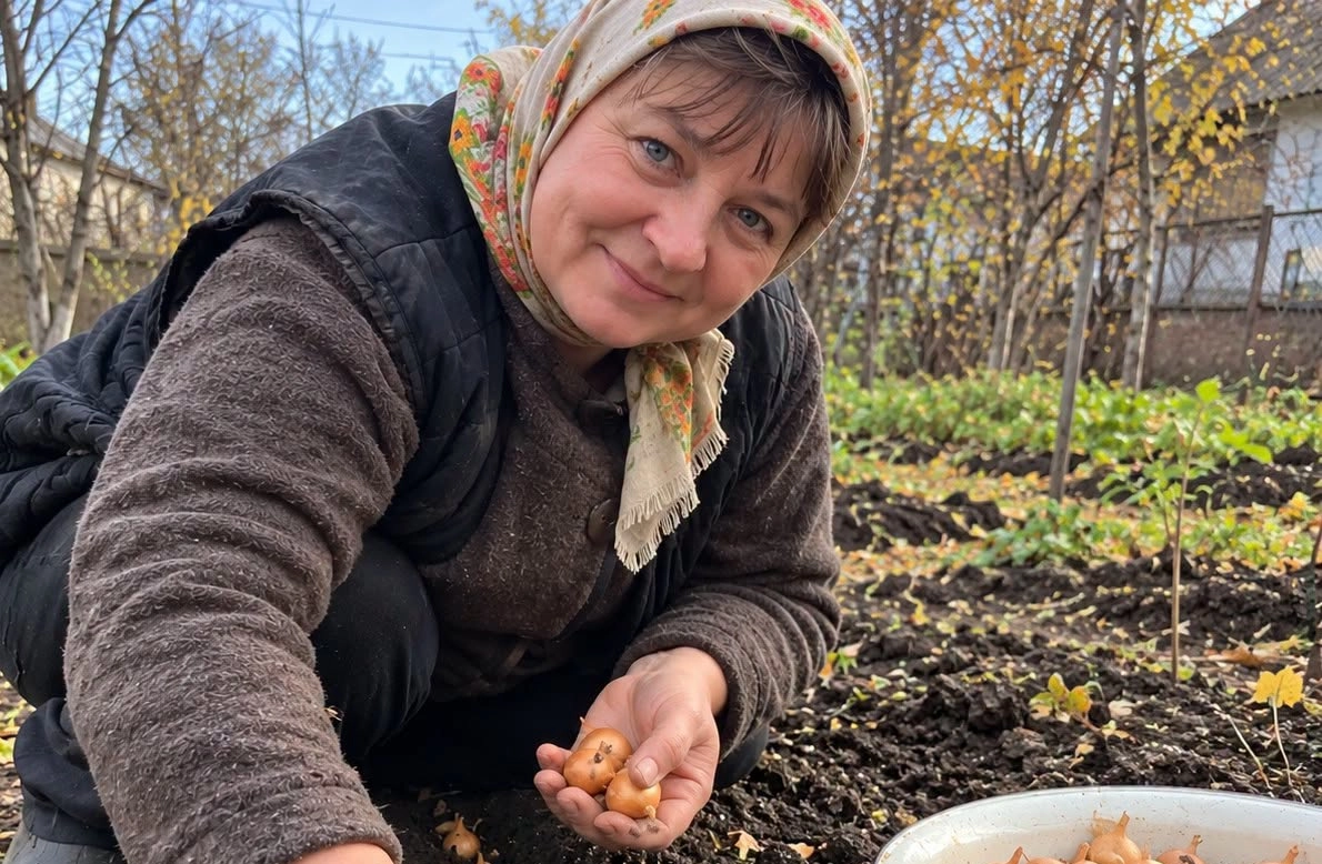 Коли садити цибулю в жовтні та листопаді 2026 року: сприятливі дні та головні правила посадки